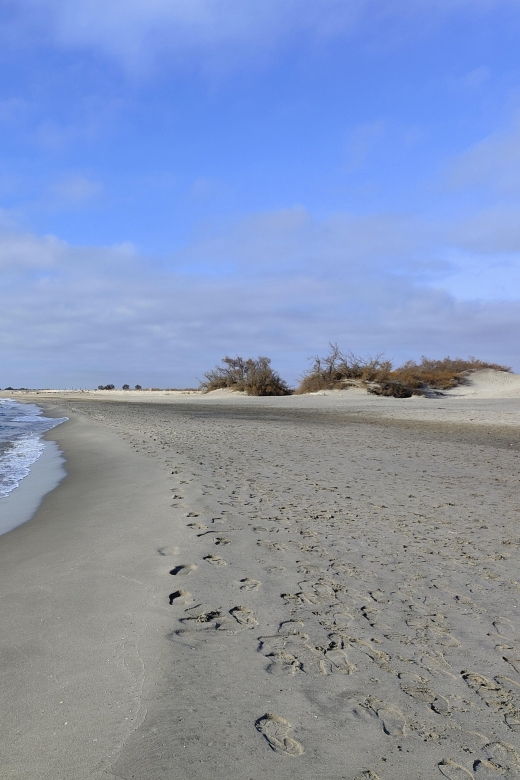 camargue-its-secrets-and-its-magic-an-exclusive-tour