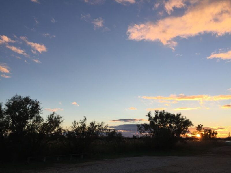 camargue-safari-from-saintes-maries-de-la-mer