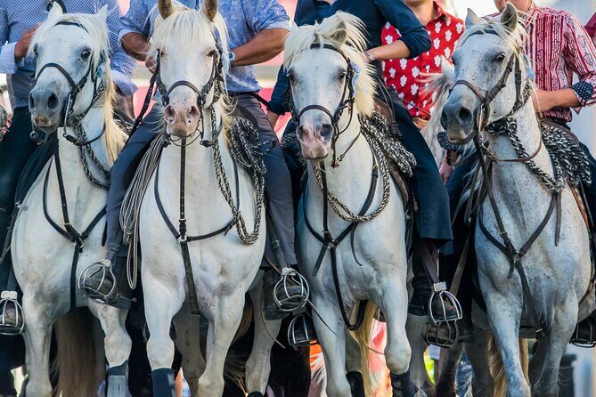 Camargue Small-Group Day Trip from Avignon - Exploring the Itinerary in Detail