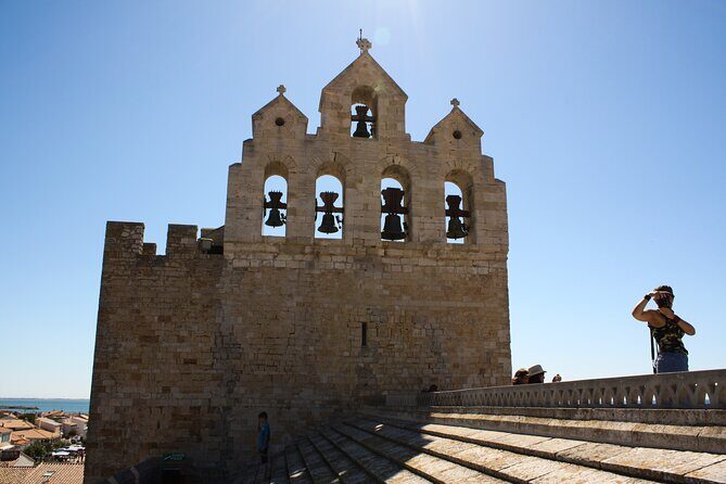 Camargue Small-Group Day Trip from Avignon - FAQs