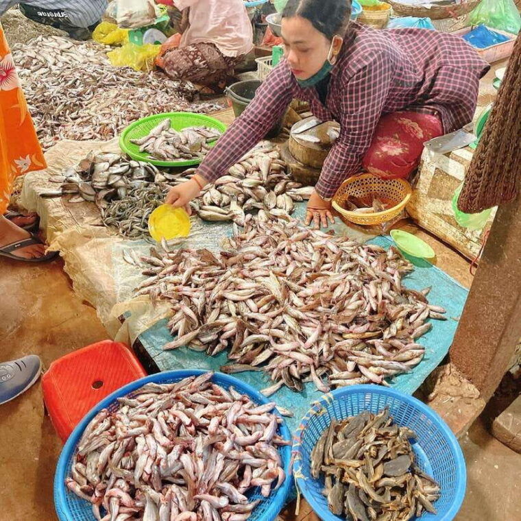 cambodia-cooking-class-oxcart-ride-with-local-village-tour