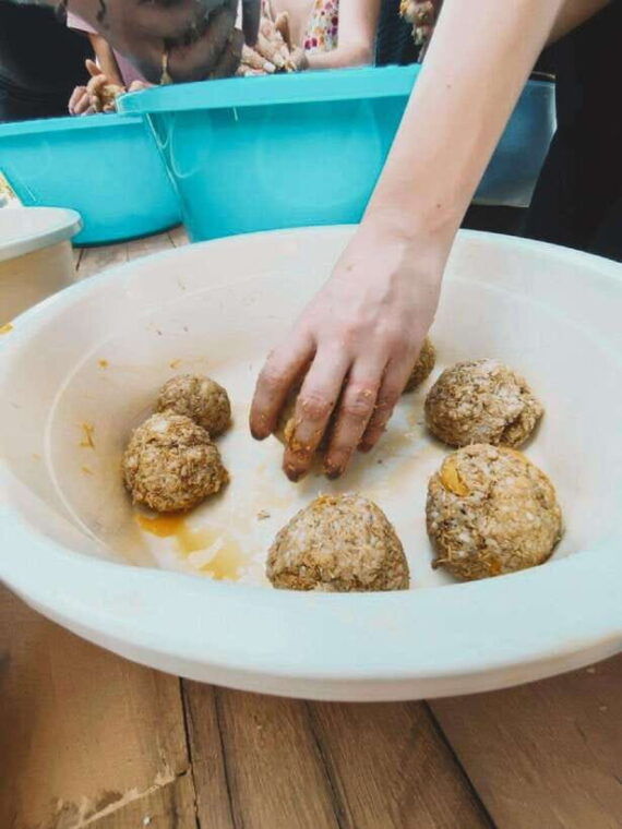 cambodia-elephant-sanctuary-and-banteay-srey-temple-tour-2