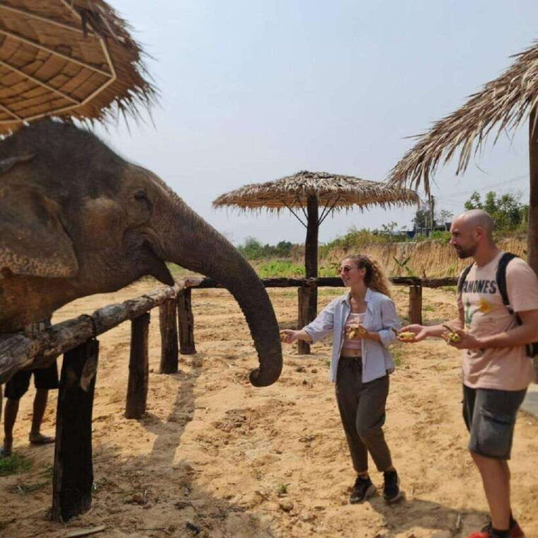 cambodia-elephant-sanctuary-and-banteay-srey-temple-tour-2
