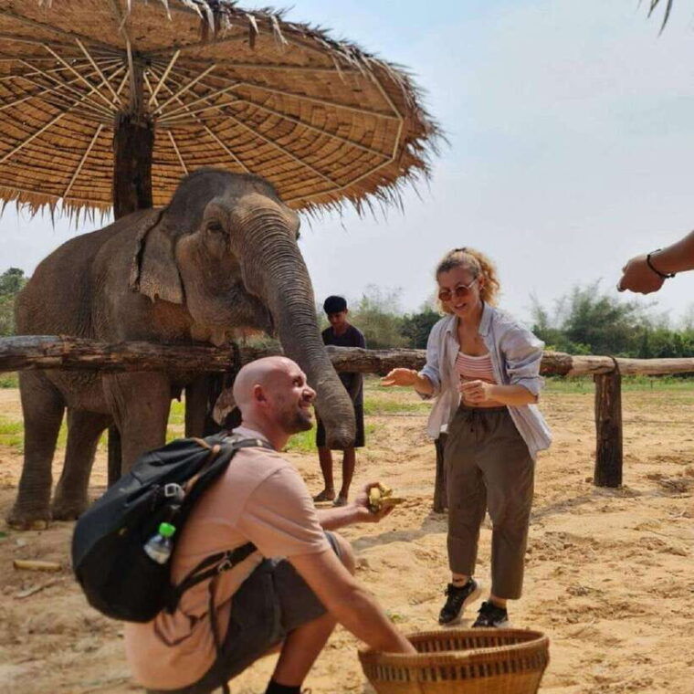 cambodia-elephant-sanctuary-and-banteay-srey-temple-tour-2