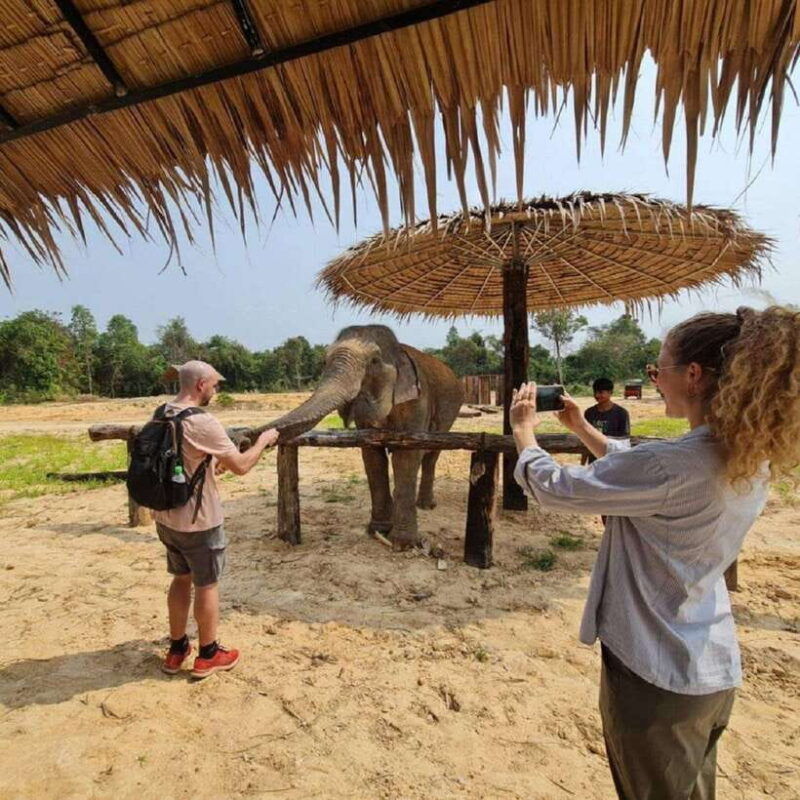 cambodia-elephant-sanctuary-and-banteay-srey-temple-tour