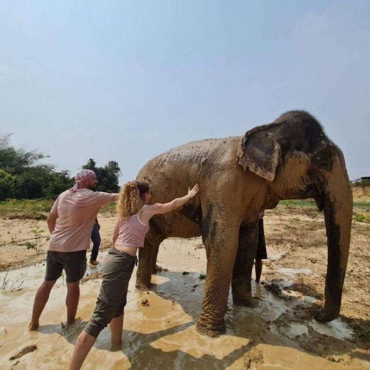 cambodia-elephant-sanctuary-and-banteay-srey-temple-tour