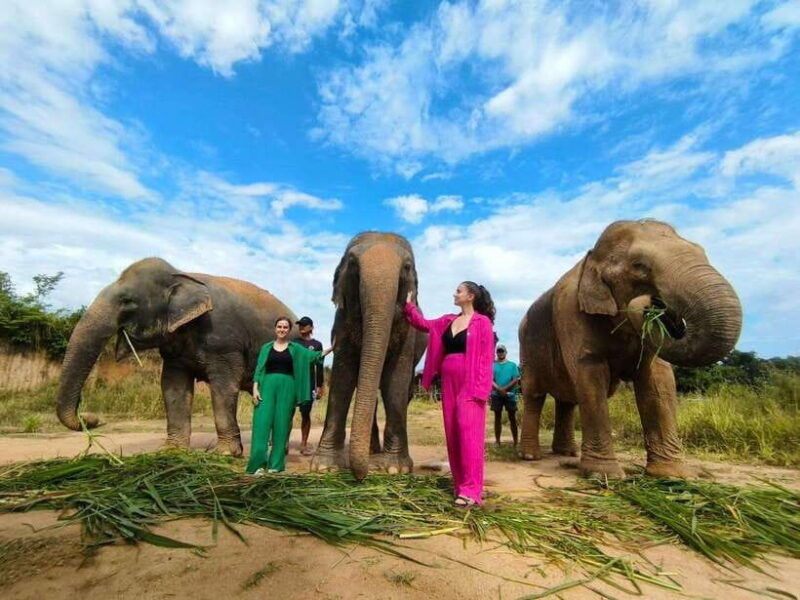 cambodia-elephants-and-phnom-kulen-national-park-day-tour