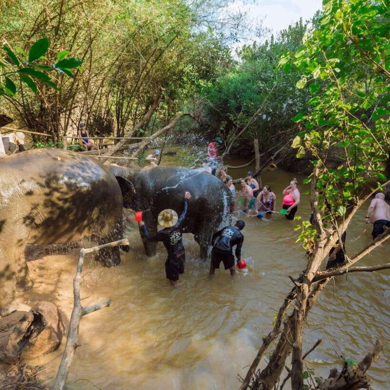 cambodia-elephants-and-phnom-kulen-national-park-day-tour
