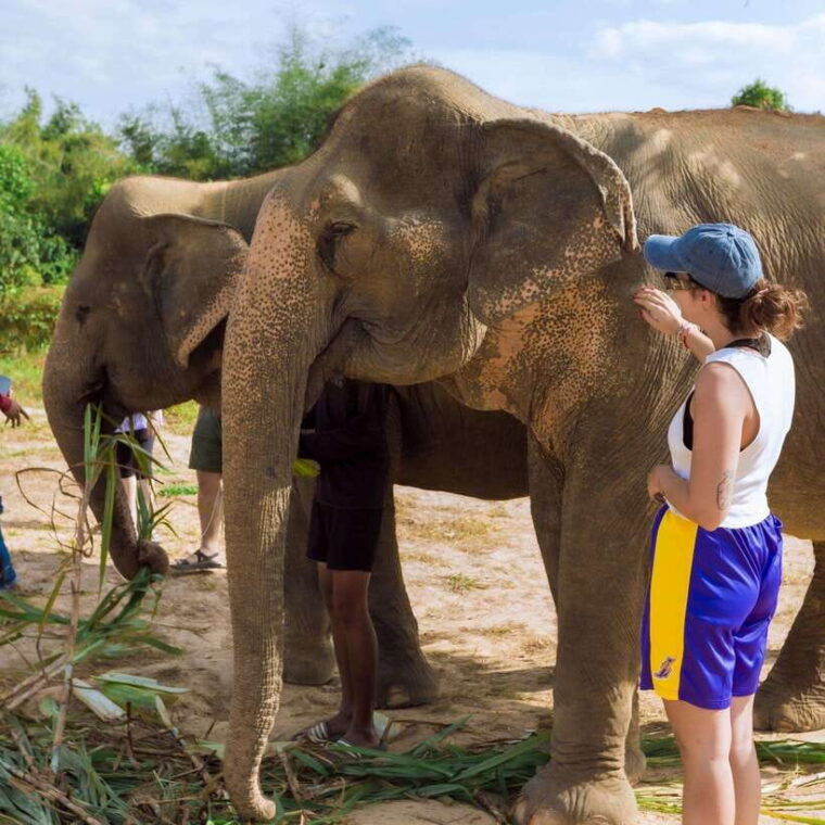 cambodia-elephants-and-phnom-kulen-national-park-day-tour