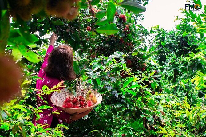 Cambodia-Viet Nam: 3 Days Mekong tour An Giang - Can Tho - HCM - The Sum Up