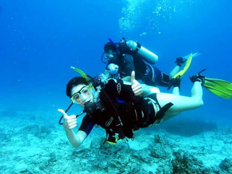 Cambrils: club Scuba Diving for beginners with hotel pickup - What You’ll See and Experience