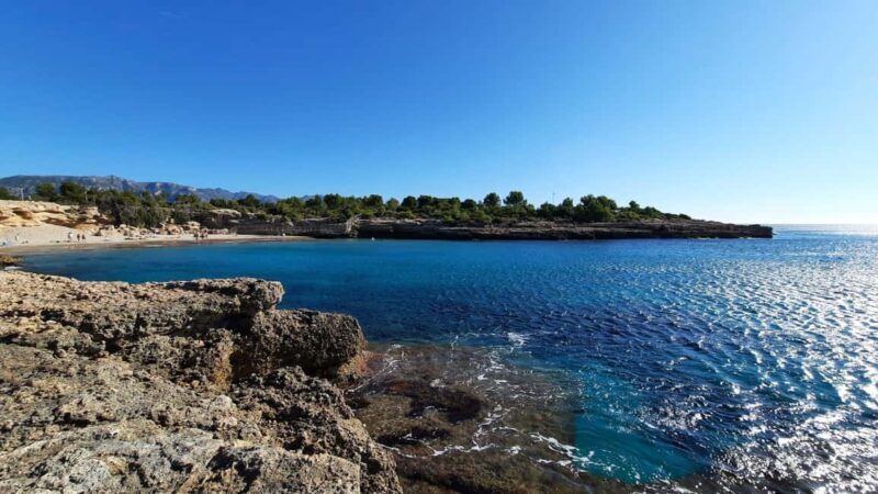 Cambrils: Introduction to diving (PADI Discover Scuba Diving) - Why Choose This Experience?