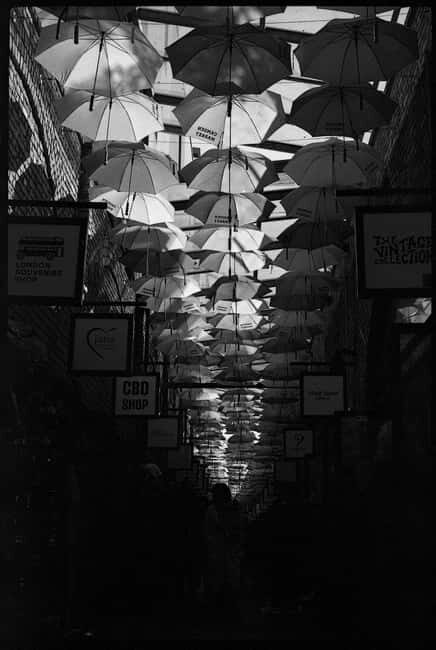 Camden: Photography Tour (Film Cameras Welcome!) - Exploring Camden with a Photography Focus