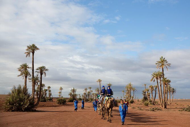 Camel and Quad Biking Tour from Marrakech - Introduction: Why This Tour Stands Out