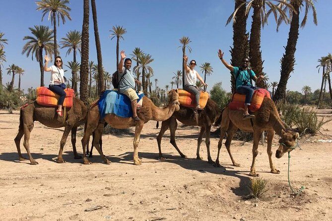 Camel and Quad in Marrakech - Final Thoughts
