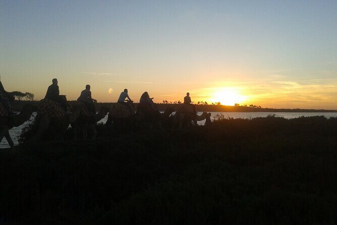 Camel Barbecue Sunset Agadir city - Key Points