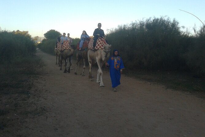 Camel Barbecue Sunset Agadir city - An In-Depth Look at the Camel Barbecue Sunset Tour