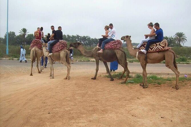 Camel Barbecue Sunset Agadir city - FAQ