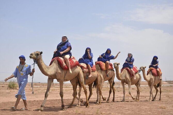 Camel in Marrakech at sunset - Setting the Scene: Marrakech’s Palm Grove and Its Charm