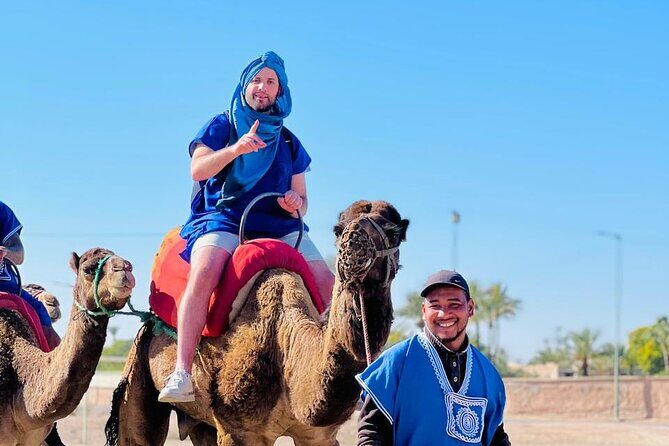 Camel in Marrakech at sunset - The Camel Ride: A Journey Through Berber Villages and Luxury Villas