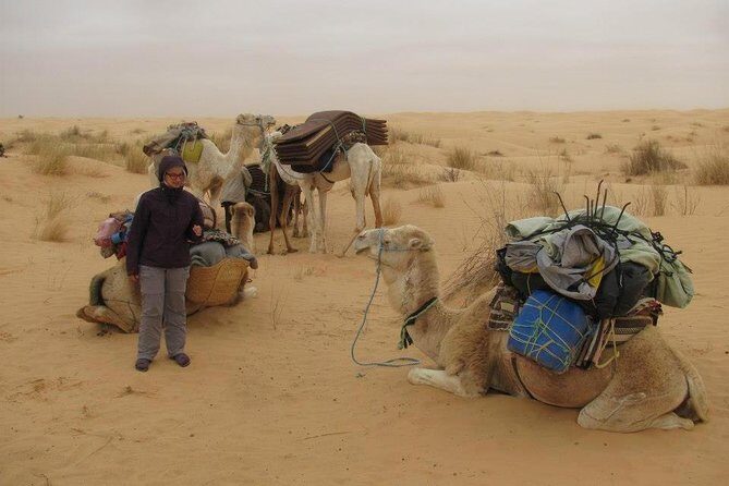 Camel ride and 1 night in the desert - Key Points