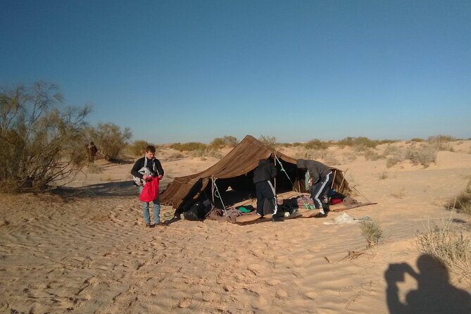 Camel ride and 1 night in the desert - An In-Depth Look at the Tour Experience