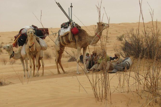 Camel ride and 1 night in the desert - Authentic Experiences Highlighted by Travelers