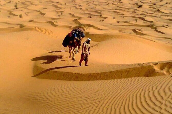 Camel ride and 1 night in the desert - Final Thoughts on the Experience