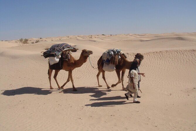 Camel ride and 1 night in the desert - Final Words
