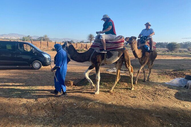 Camel Ride and Barbecue Tour in Agadir - Authentic Experiences and What Travelers Say