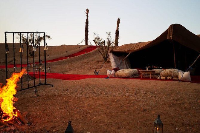 Camel ride and dinner Agafay desert - Key Points