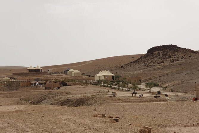 Camel ride and dinner Agafay desert - Authentic Reviews and Insights