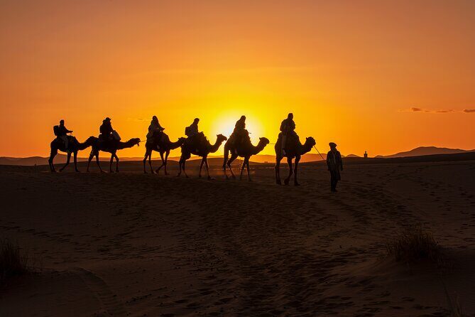 Camel Ride and Dinner in the Agafay Desert with Transportation - Camel Ride: A Classic Moroccan Experience