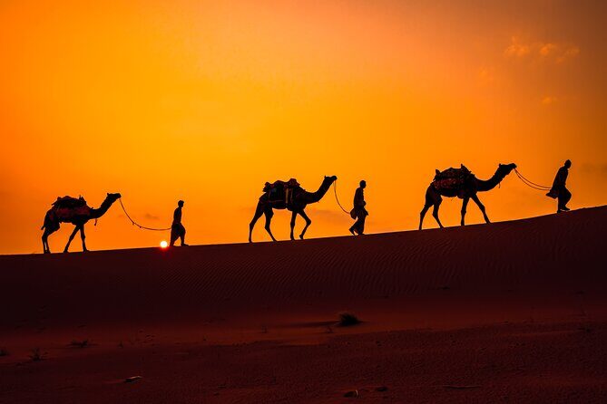 Camel Ride and Dinner in the Agafay Desert with Transportation - The Desert Camp Experience