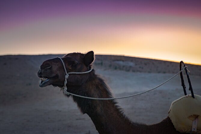 Camel Ride and Dinner in the Agafay Desert with Transportation - Final Thoughts