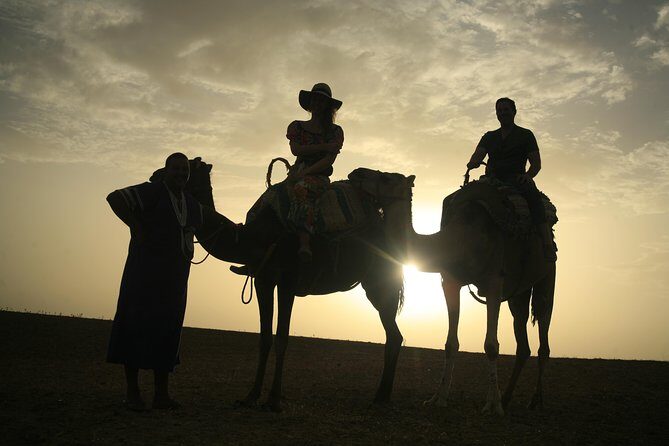 Camel ride and magical dinner in Agafay desert - Key Points: