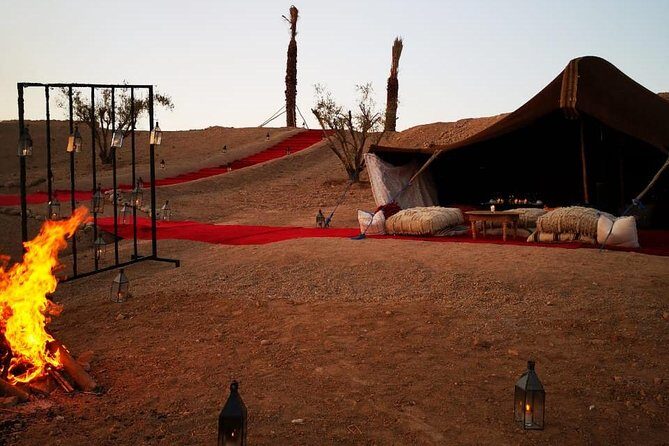 Camel ride and magical dinner in Agafay desert - An Overview of the Experience