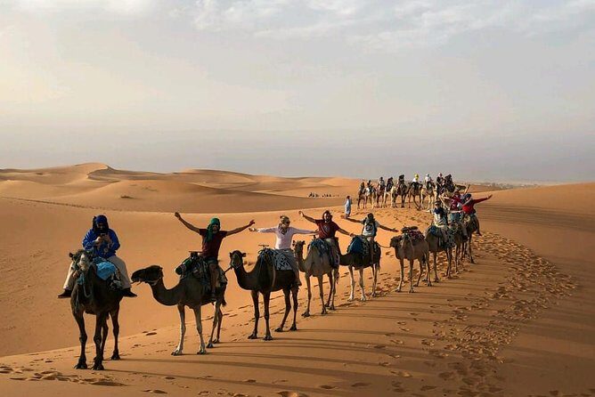 Camel Ride and Overnight in Sahara Desert Camp - Key Points