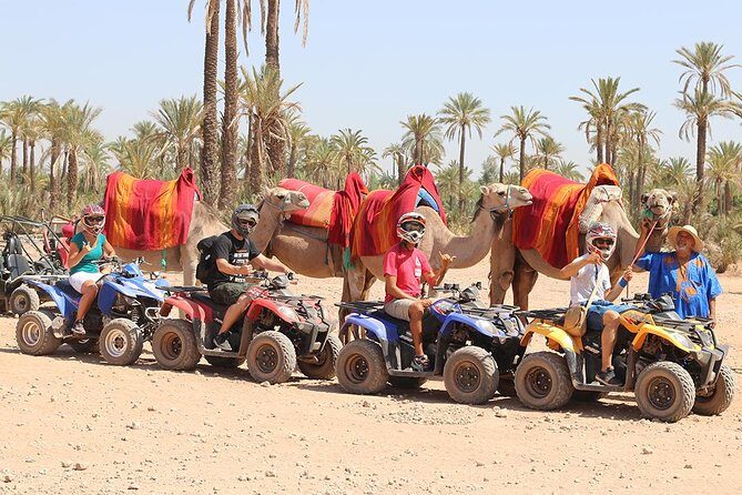 Camel Ride and Quad Bike in Palmeraie - Authentic Experiences and Unique Insights from Reviews
