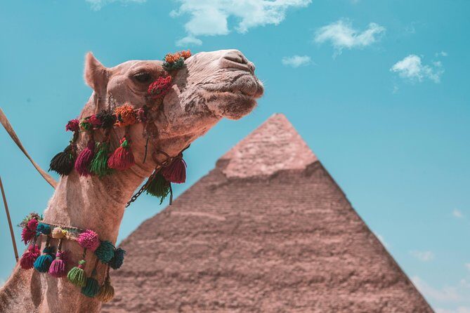 Camel Ride at Giza Pyramids during sunset - FAQ