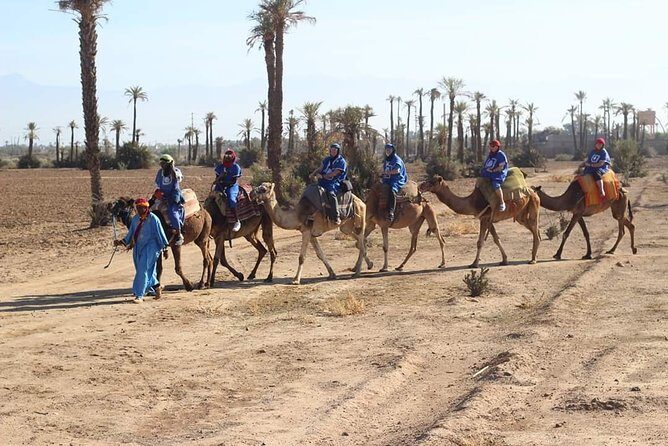 Camel ride at sunset from the palm grove - Exploring the Sunset Camel Ride Experience
