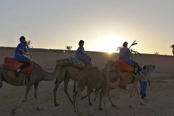 Camel Ride at the Palm Groves in Marrakech - Why This Tour Offers Good Value