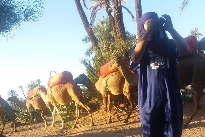 Camel Ride at the Palm Groves in Marrakech - Detailed Breakdown of the Experience