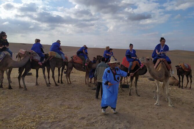 Camel Ride at the Palm Groves in Marrakech - Authentic Experiences from Past Travelers
