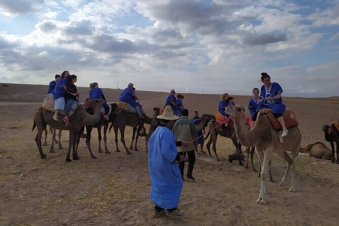 Camel Ride at the Palm Groves in Marrakech - The Sum Up: Who Will Love This Tour?