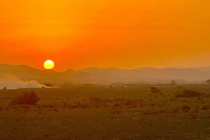 Camel Ride, Bedouin Dinner and Star Gazing in Marsa Alam - An In-Depth Look at the Experience