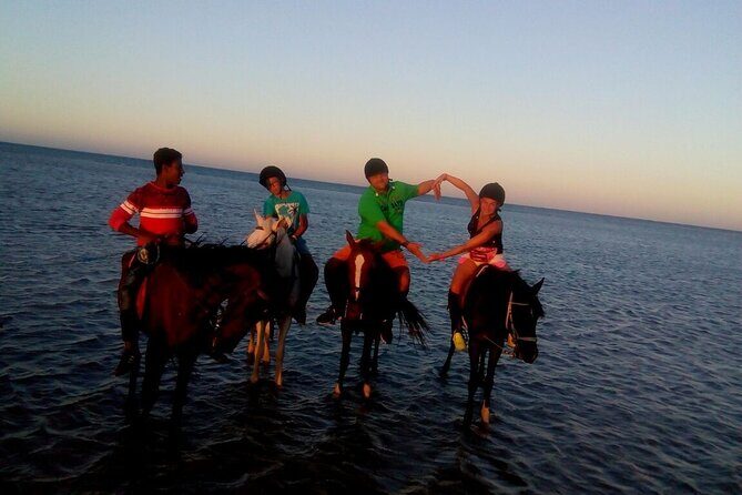 Camel ride & Bedouin dinner quad safari in Sharm el Sheikh - What to Expect from the Experience