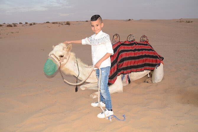 Camel Ride, Dune Bashing & Live Shows with BBQ Dinner in Dubai - An In-Depth Look at What You Can Expect