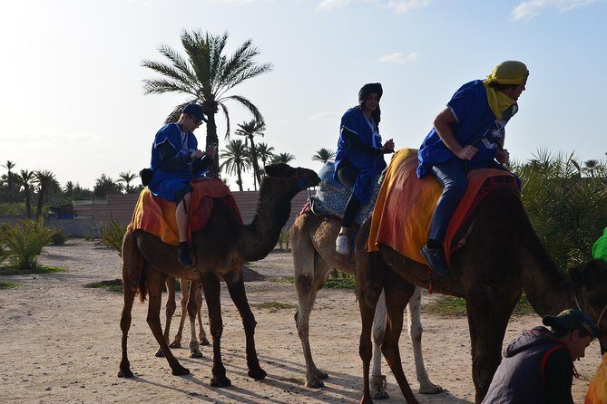 Camel Ride Experience Around Marrakech - Key Points