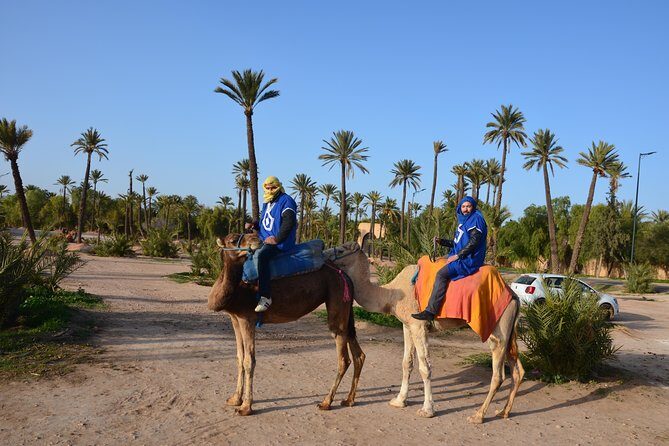 Camel Ride Experience Around Marrakech - Transportation and Logistics